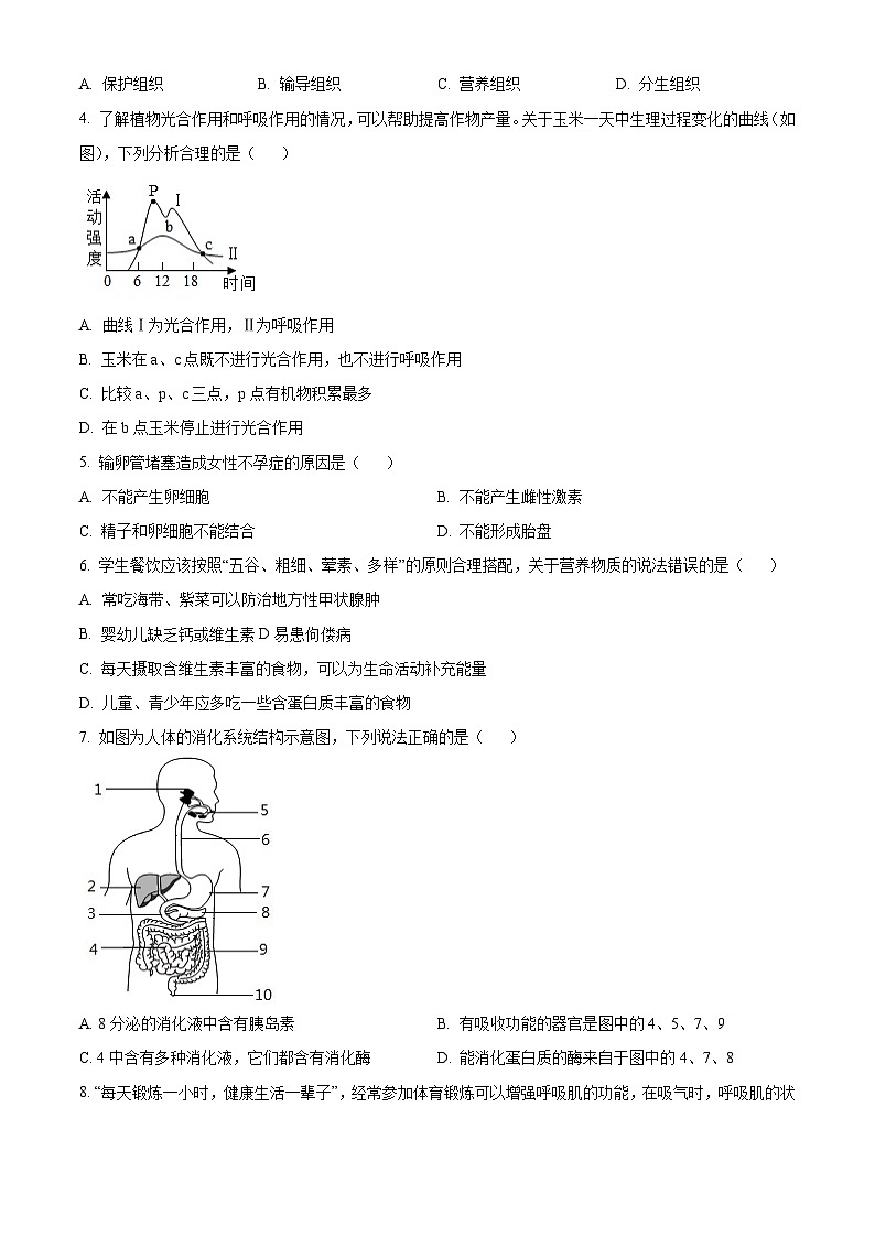 2024年山东省聊城市中考生物真题（原卷版）第2页