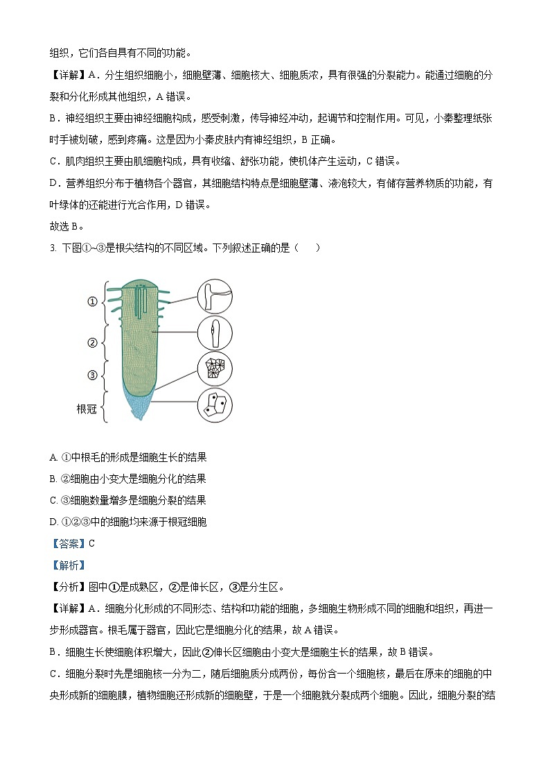 2024年陕西省中考生物真题（解析版）02