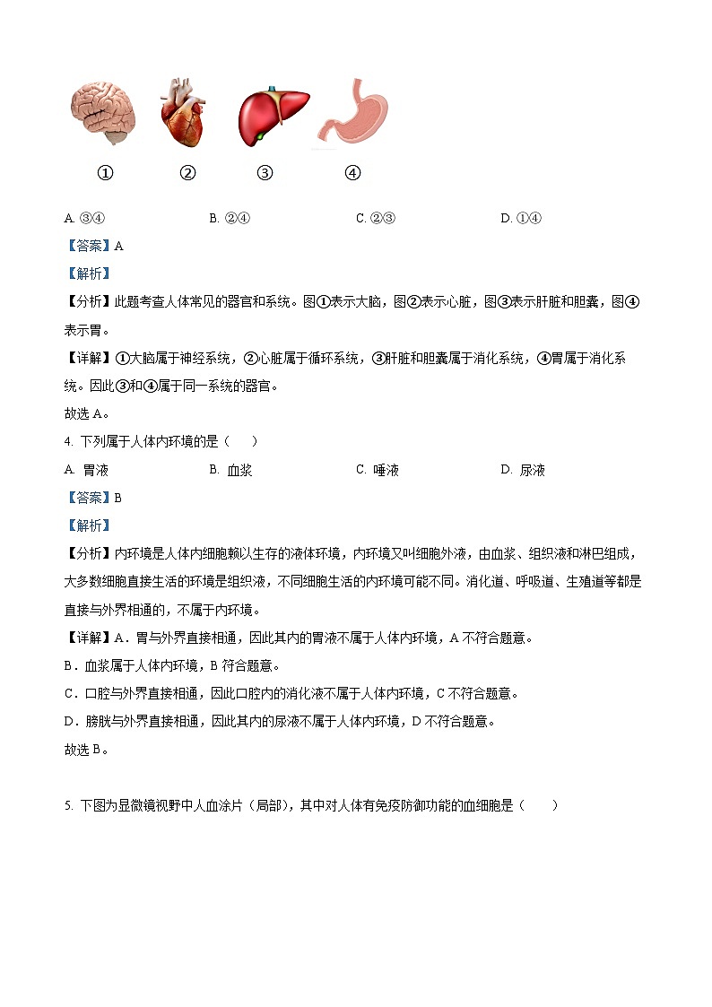 2024年上海市中考生物真题（解析版）第2页