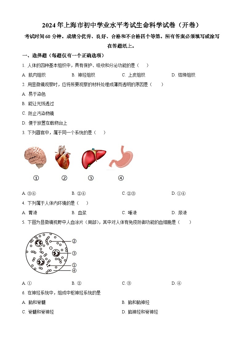 2024年上海市中考生物真题（原卷版）01