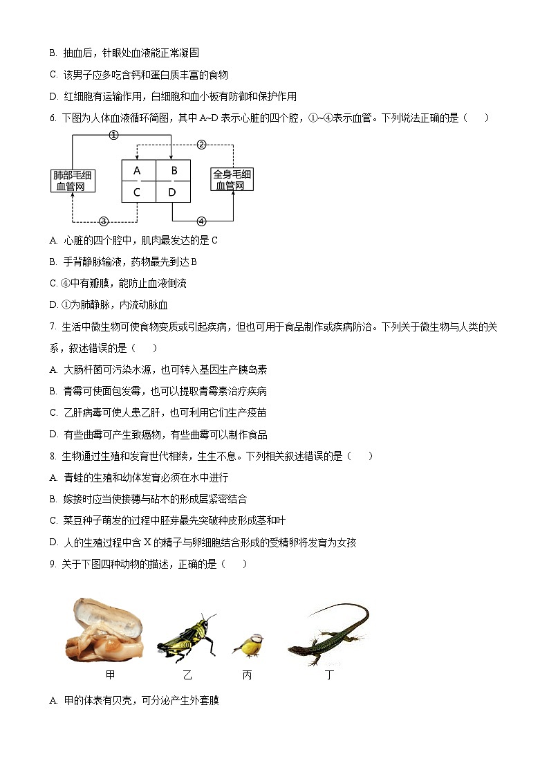 2024四川省南充市中考生物真题（原卷版）第3页