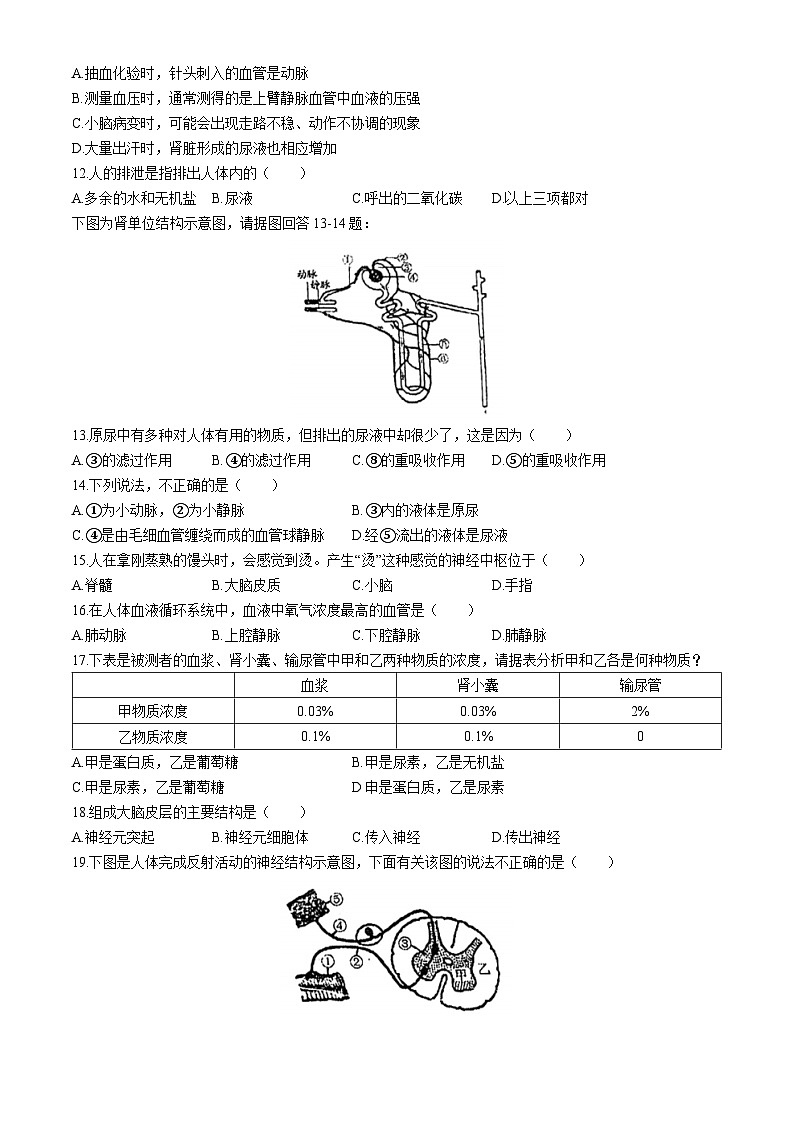 江苏省徐州市鼓楼区树成学校2024-2025学年八年级上学期10月月考生物试题(无答案)第2页