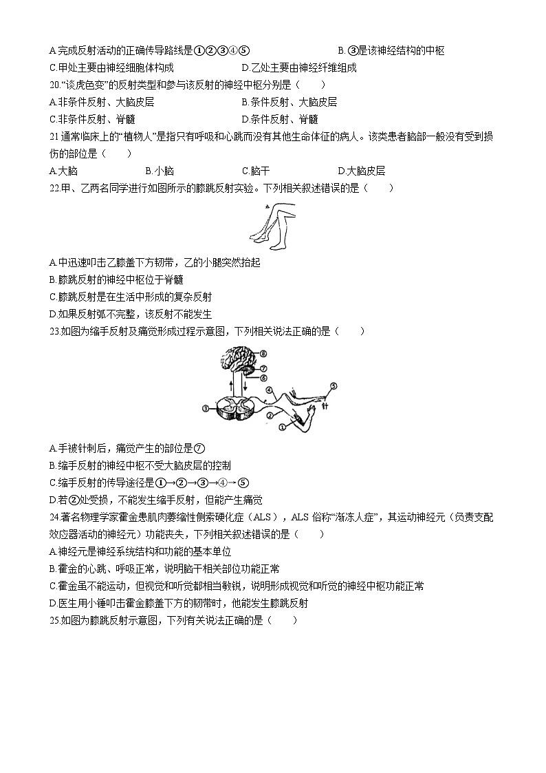 江苏省徐州市鼓楼区树成学校2024-2025学年八年级上学期10月月考生物试题(无答案)第3页