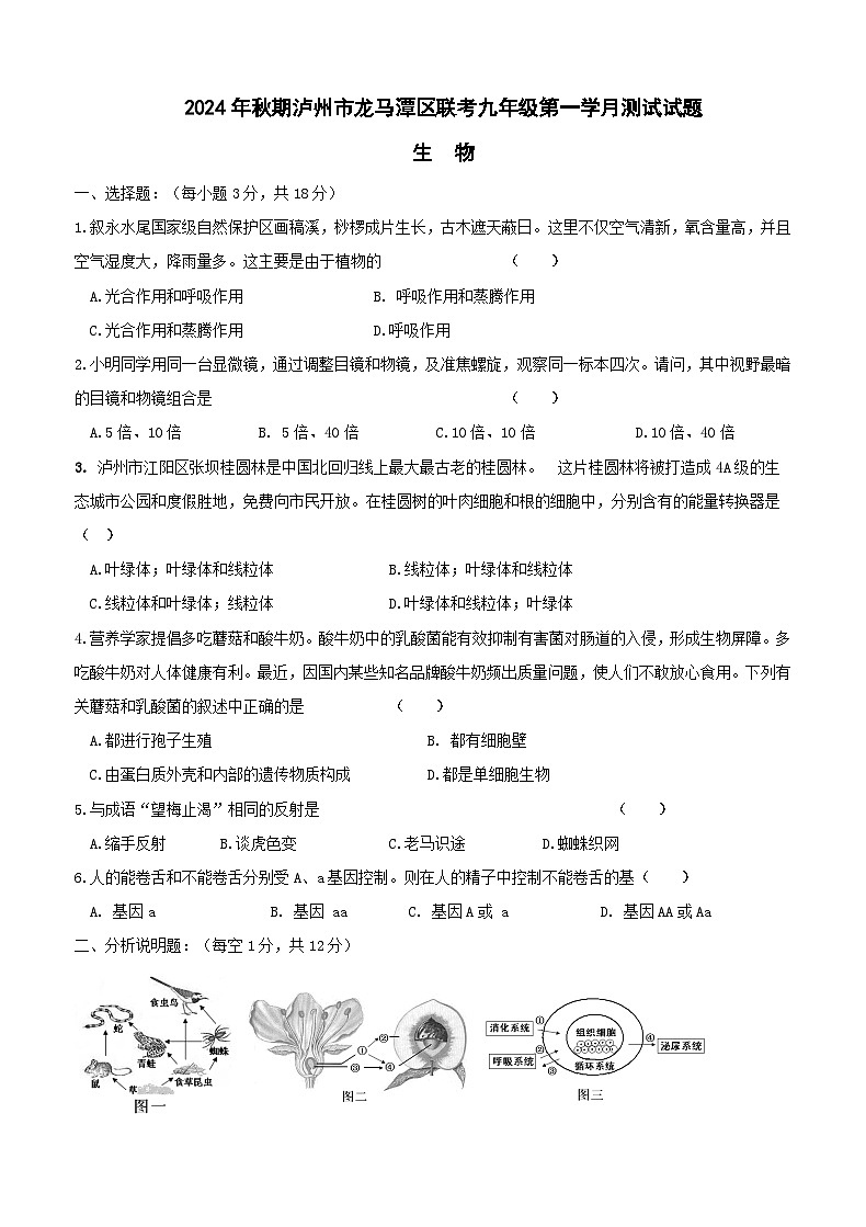 四川省泸州市龙马潭区校联考2024-2025学年九年级上学期10月月考生物试题01