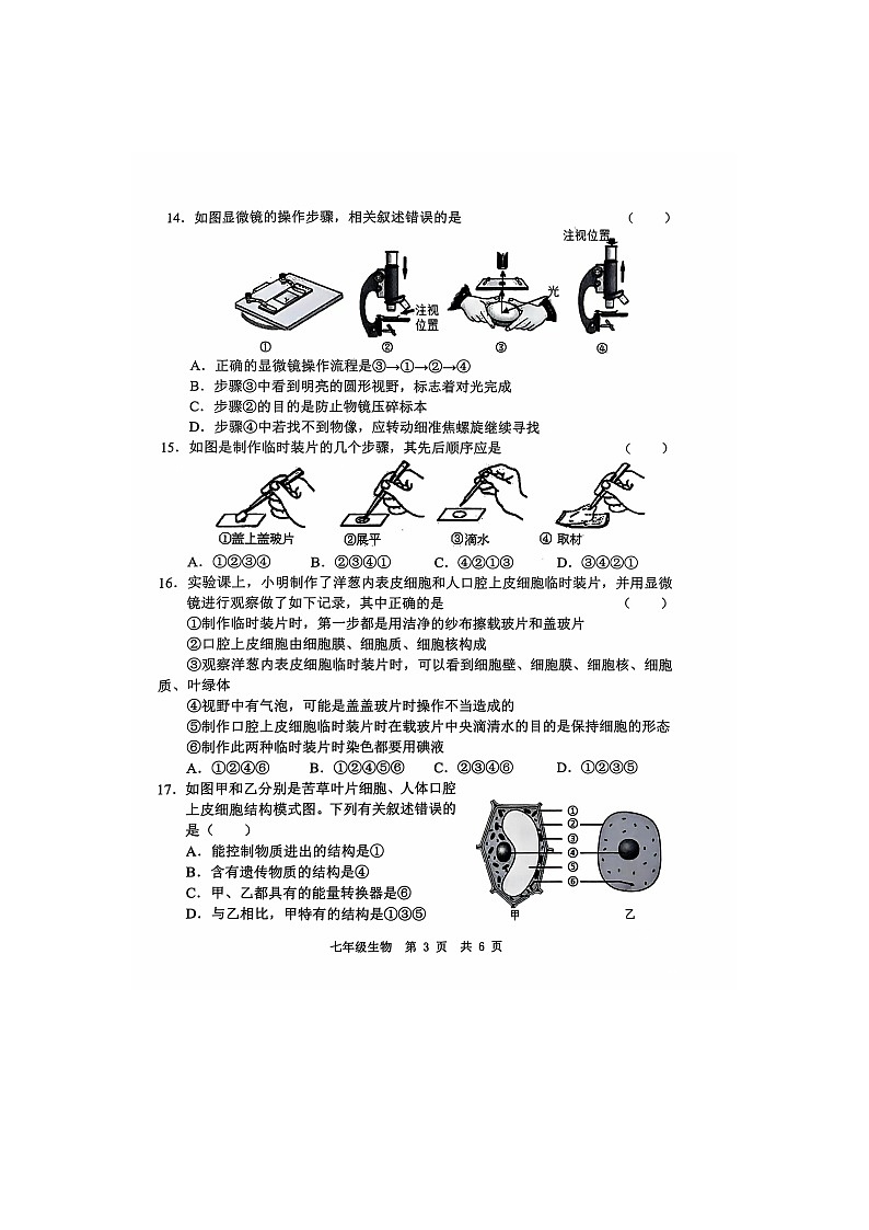 山东省菏泽市菏泽经济技术开发区2024-2025学年七年级上学期10月月考生物试题03