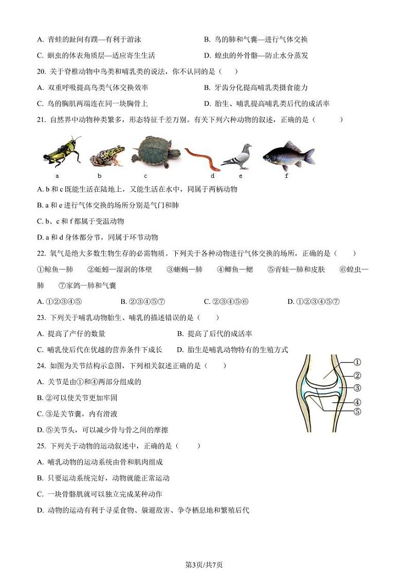 河北省保定市雄县第一初级实验中学2024-2025学年八年级上学期第一次月考生物试题第3页