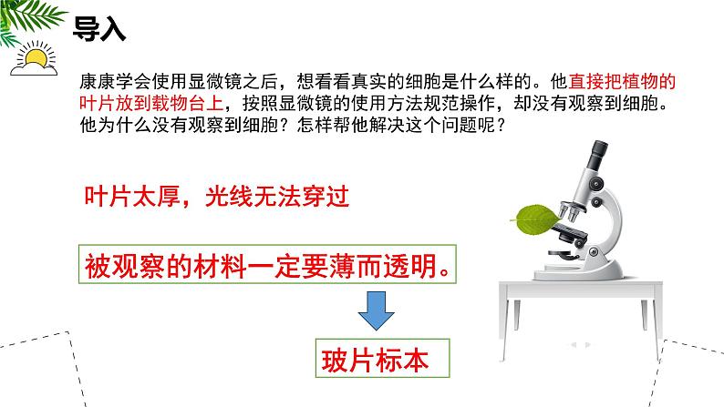 人教版生物七年级上册1.2.2《植物细胞》（教学课件）02