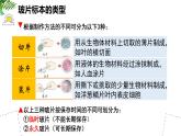 人教版生物七年级上册1.2.2《植物细胞》（教学课件）