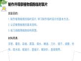 人教版生物七年级上册1.2.2《植物细胞》（教学课件）