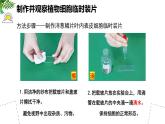 人教版生物七年级上册1.2.2《植物细胞》（教学课件）