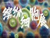 人教版生物七年级上册1.2.2《植物细胞》教学课件