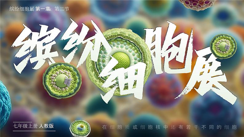 人教版生物七年级上册1.2.2《植物细胞》教学课件01