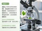 人教版生物七年级上册1.2.2《植物细胞》教学课件