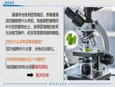 人教版生物七年级上册1.2.2《植物细胞》课件