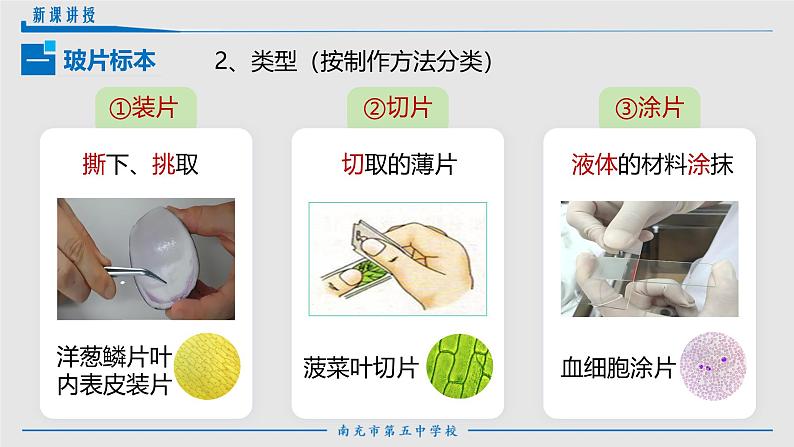 人教版生物七年级上册1.2.2《植物细胞》课件第5页