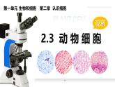 人教版生物七年级上册1.2.3《动物细胞》课件