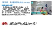 初中生物第一节 细胞通过分裂产生新细胞教学课件ppt