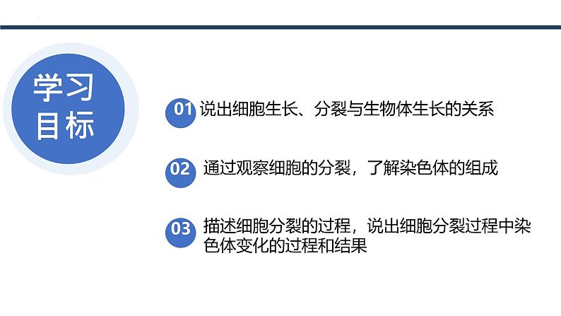 人教版生物七年级上册1.3.1《细胞通过分裂产生新细胞》教学课件03