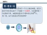 人教版生物七年级上册1.3.1《细胞通过分裂产生新细胞》教学课件