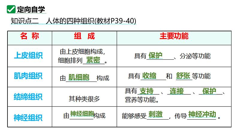 人教版生物七年级上册1.3.2《动物体的结构层次》（教学课件）第6页