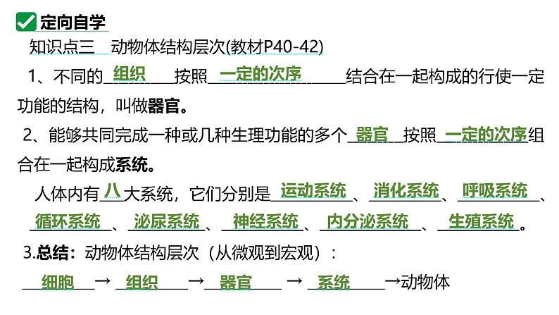 人教版生物七年级上册1.3.2《动物体的结构层次》（教学课件）第7页