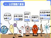 人教版生物七年级上册1.3.2《动物体的结构层次》教学课件