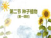 人教版生物七年级上册2.1.2《种子植物》（第一课时）课件