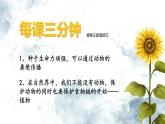 人教版生物七年级上册2.1.2《种子植物》（第一课时）课件
