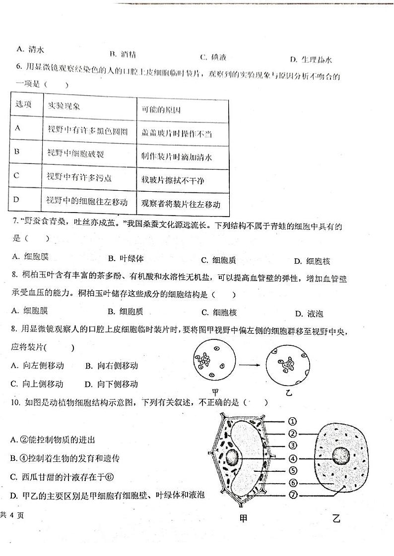 广东省潮州市饶平县饶平双语实验学校2024--2025学年七年级上学期第一次月考生物试题02