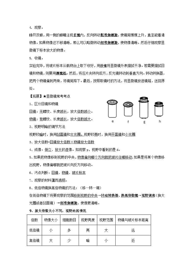 苏科版（2024新版）七年级上册生物期末复习知识点提纲03