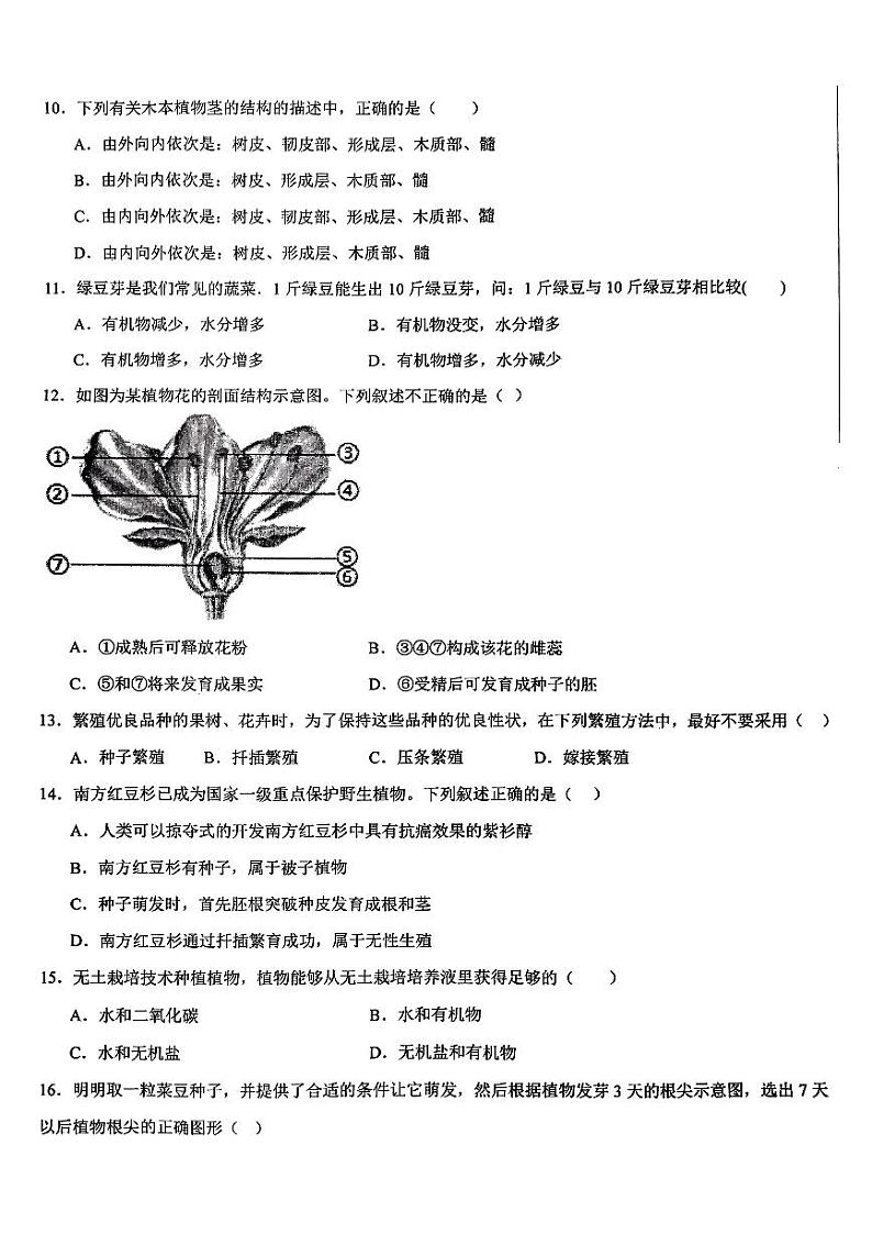 山东省枣庄市峄城区东方学校2024-2025学年八年级上学期10月生物月考卷03