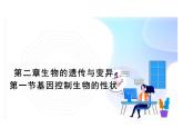 7.2.1 基因控制生物的性狀課件人教版初中生物八年級(jí)下冊(cè)