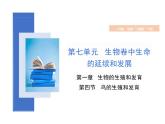 第七单元 鸟的生殖和发育课件初中生物人教版八年级下册