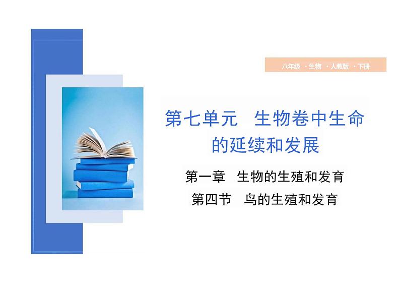 第七单元 鸟的生殖和发育课件初中生物人教版八年级下册01