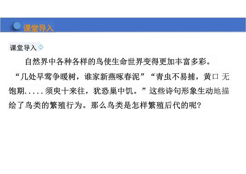 第七单元 鸟的生殖和发育课件初中生物人教版八年级下册04