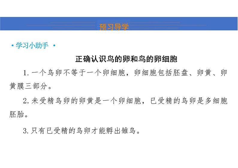 第七单元 鸟的生殖和发育课件初中生物人教版八年级下册08