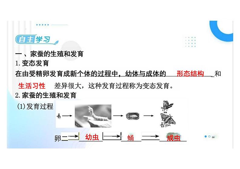 7.1.2昆虫的生殖和发育课件初中生物人教版八年级下册03