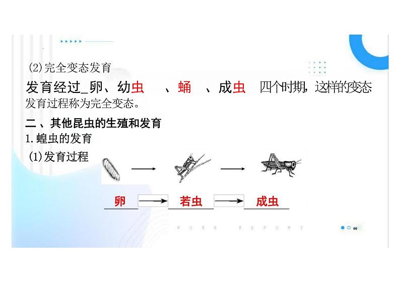 7.1.2昆虫的生殖和发育课件初中生物人教版八年级下册04