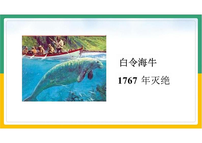 初中生物人教版八年级上册《6.3保护生物的多样性》课件第7页