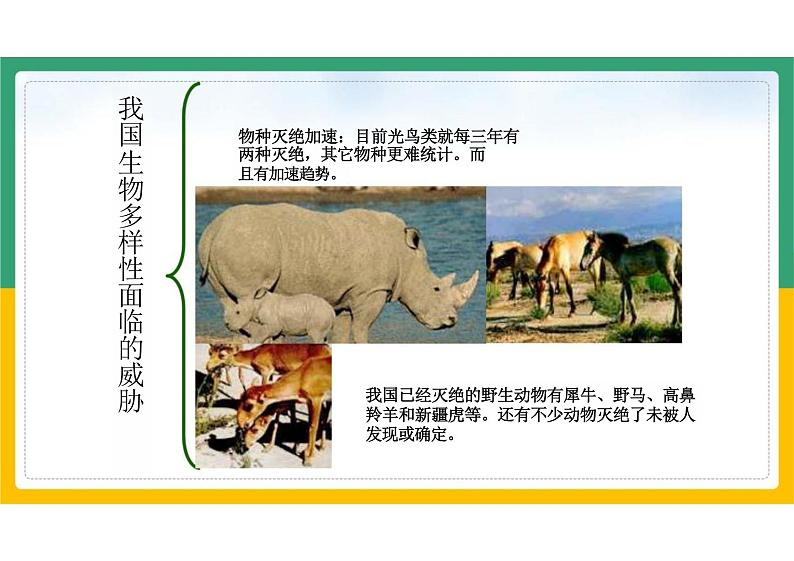 初中生物人教版八年级上册《6.3保护生物的多样性》课件第8页