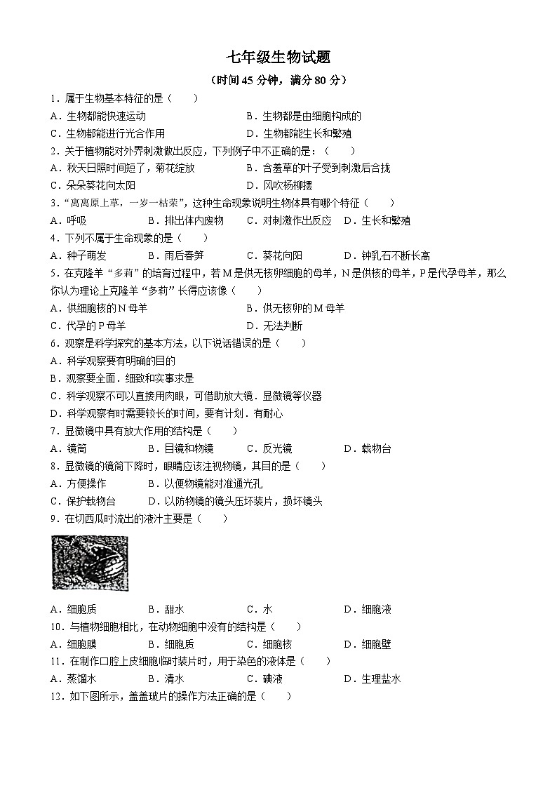 山东省青岛市城阳区青岛培文学校2024--2025学年七年级上学期10月月考生物试题(无答案)第1页