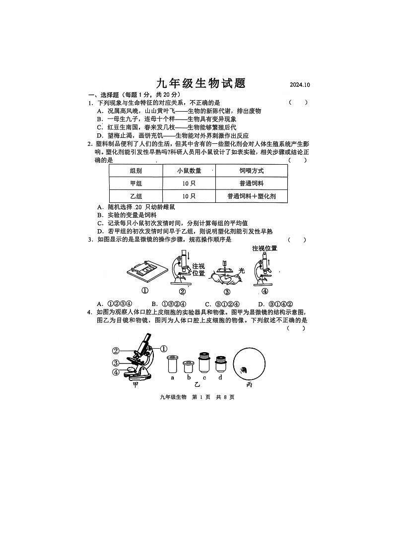 山东省经济技术开发区多校联考2024-2025学年九年级上学期10月月考生物试题第1页