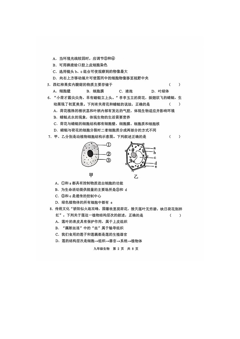 山东省经济技术开发区多校联考2024-2025学年九年级上学期10月月考生物试题第2页