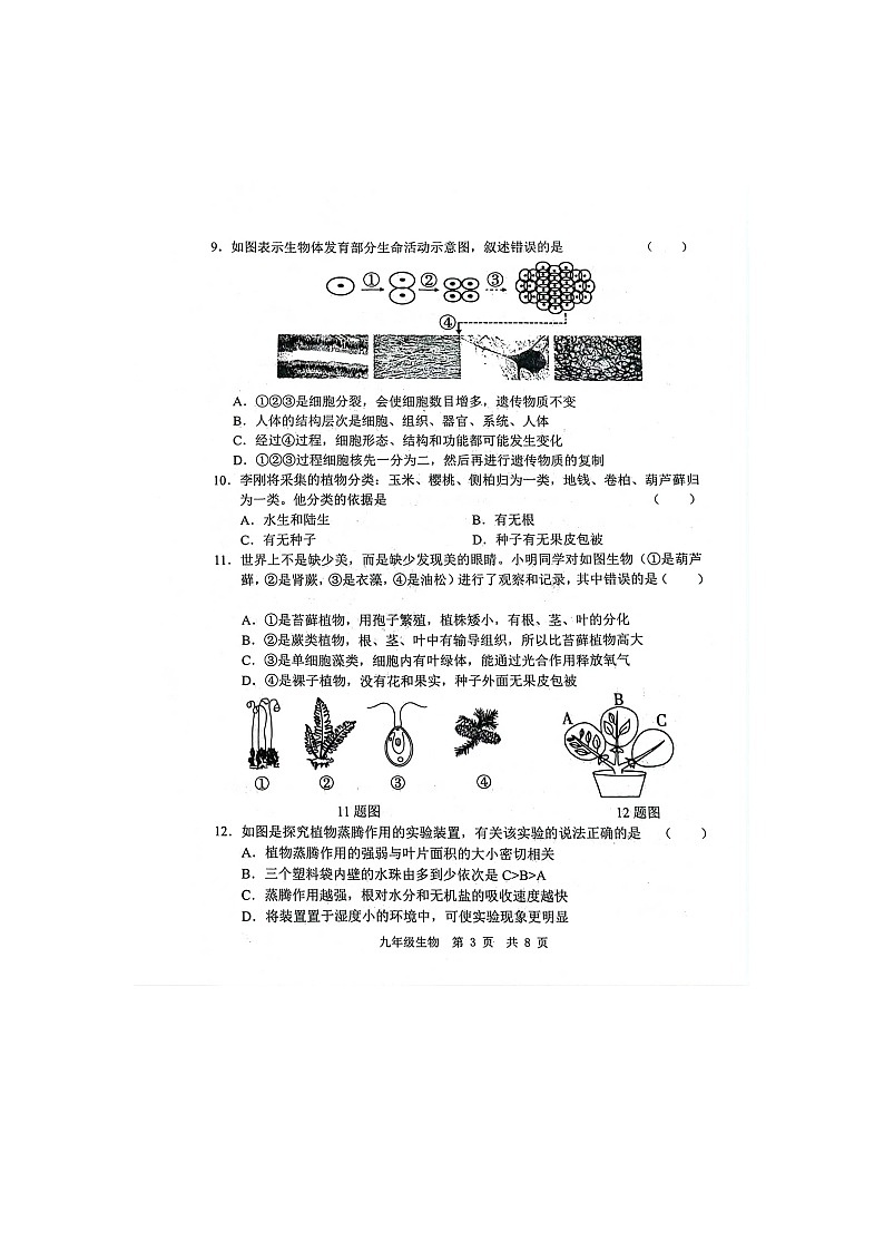 山东省经济技术开发区多校联考2024-2025学年九年级上学期10月月考生物试题第3页