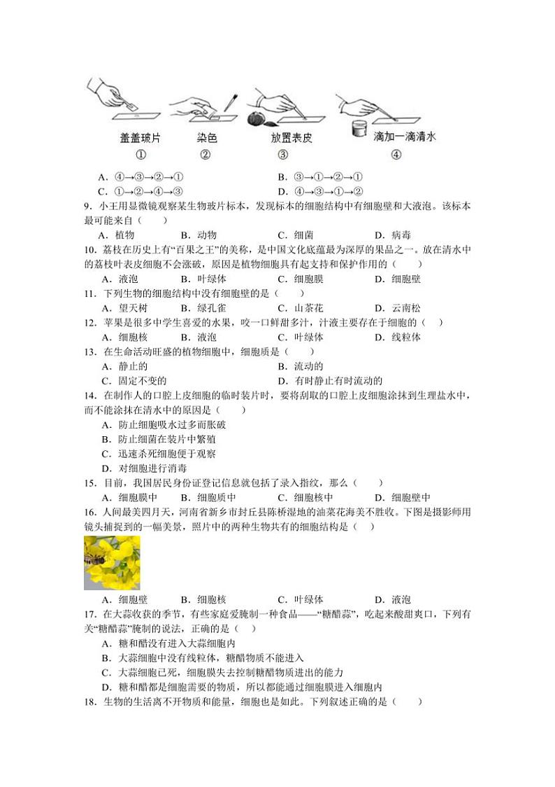 [生物]河南省南阳市内乡县赤眉镇第二初级中学2024～2025学年七年级上学期9月月考试题(有答案)第2页