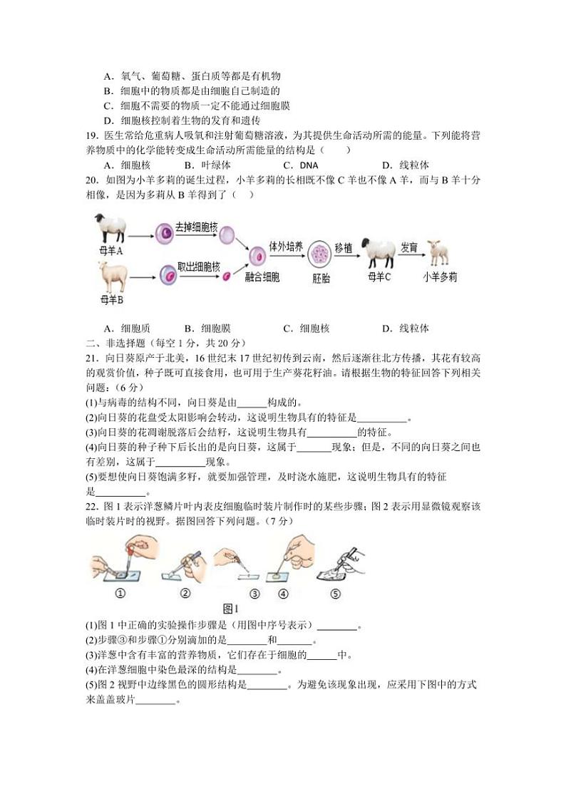 [生物]河南省南阳市内乡县赤眉镇第二初级中学2024～2025学年七年级上学期9月月考试题(有答案)第3页