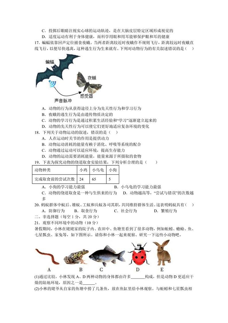 [生物]河南省南阳市内乡县赤眉镇第二初级中学2024～2025学年八年级上学期9月月考试题(有答案)第3页