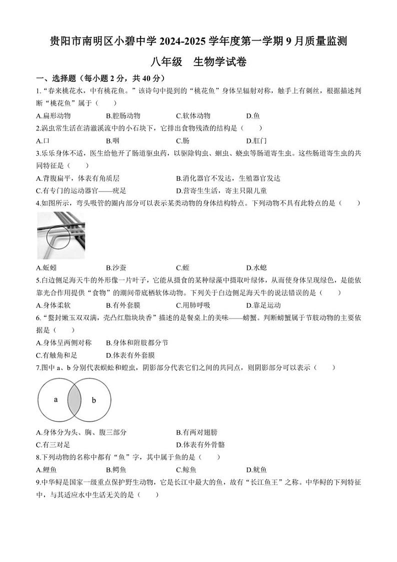 [生物]贵州省贵阳市南明区小碧中学2024～2025学年八年级上学期9月月考试题(有答案)第1页