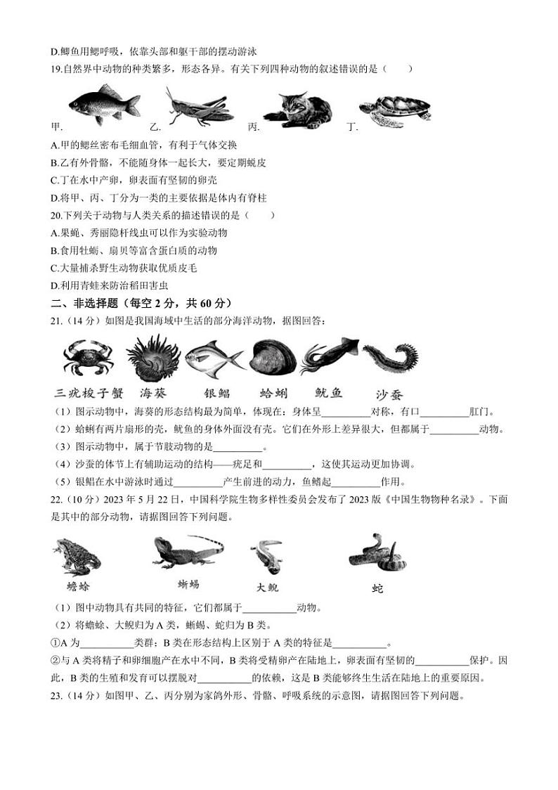 [生物]贵州省贵阳市南明区小碧中学2024～2025学年八年级上学期9月月考试题(有答案)第3页