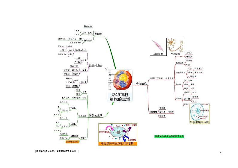 初中生物第3页